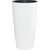 174388516.png